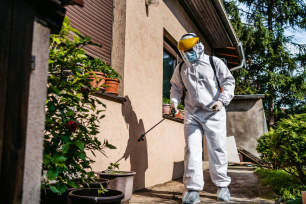 Best Residential Pest Control  in Winona, MN