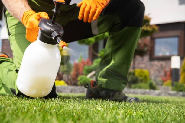 Best Local Pest Control Services  in Winona, MN