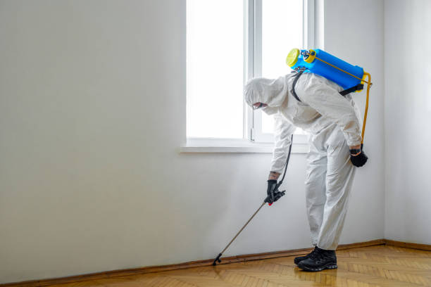 Best Best Pest Control Companies  in Winona, MN