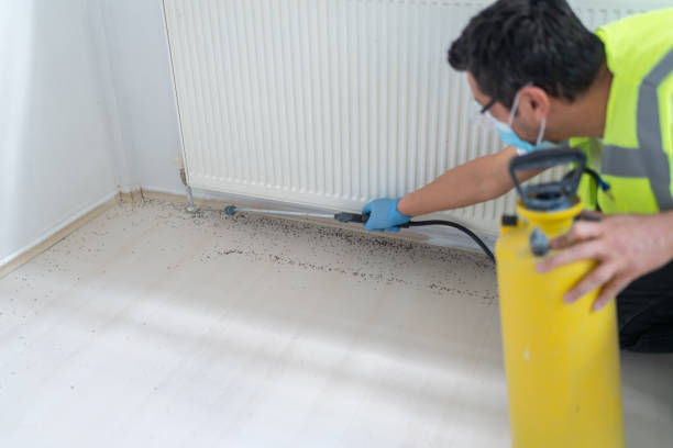 Best Wasp Removal Services  in Winona, MN