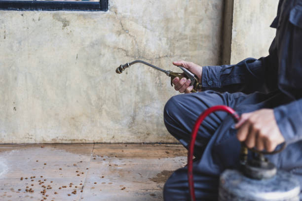 Best Exterminator Services  in Winona, MN